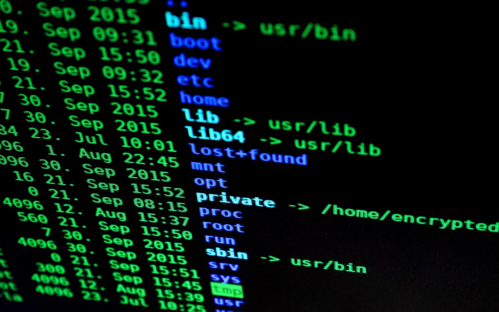 Terminal screen showing a green and blue Linux directory listing with file paths and timestamps
